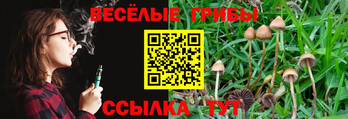 Галлюциногенные грибы Magic Shrooms  Вход с VPN  Галлюциногенные грибы мухоморы  Кашира 